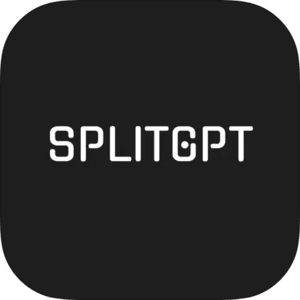 SplitGPT